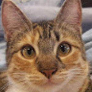 Meet your Posher, Hailey